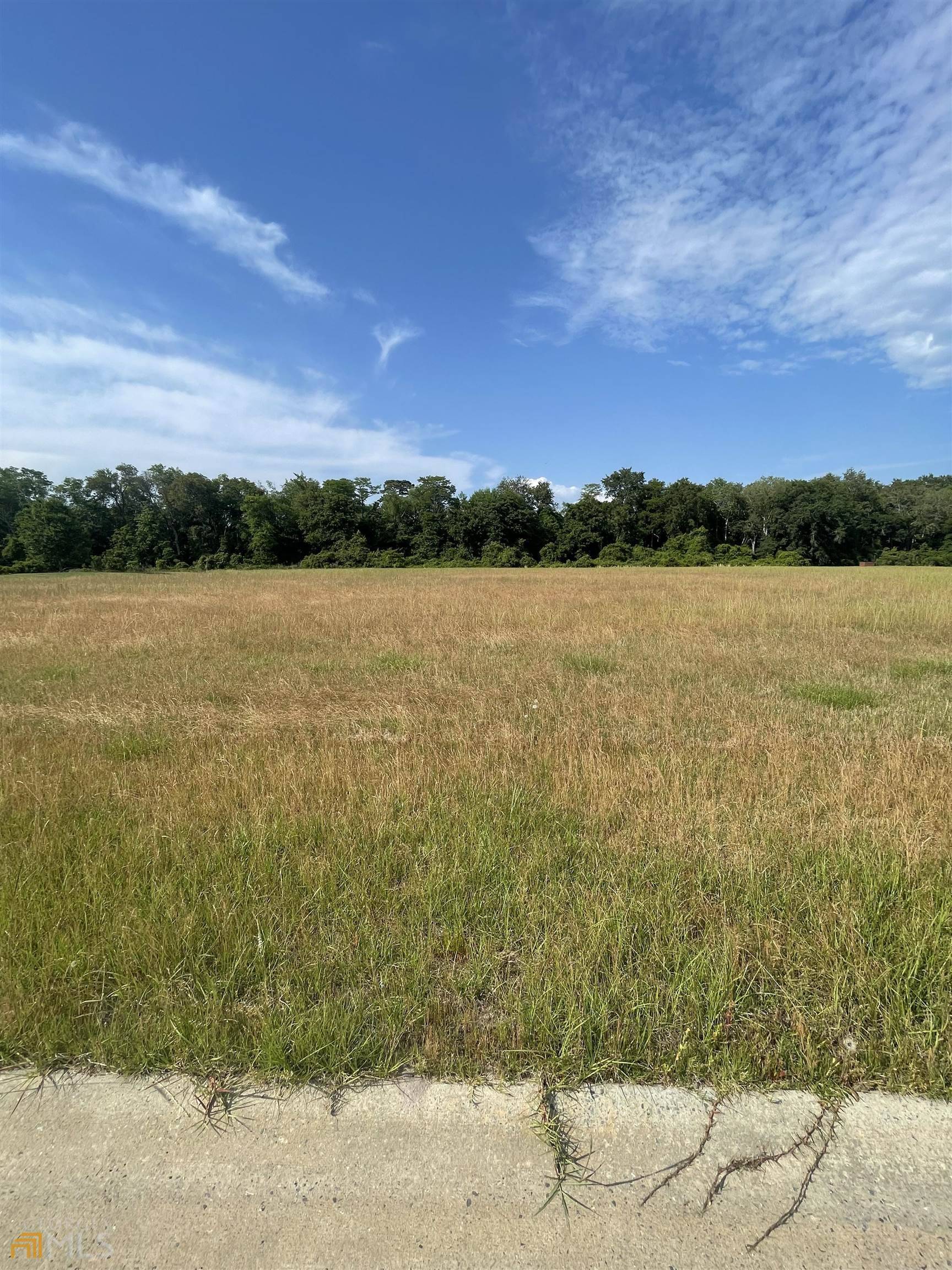 Jesup, GA 31546,LOT 5 Bermuda DR