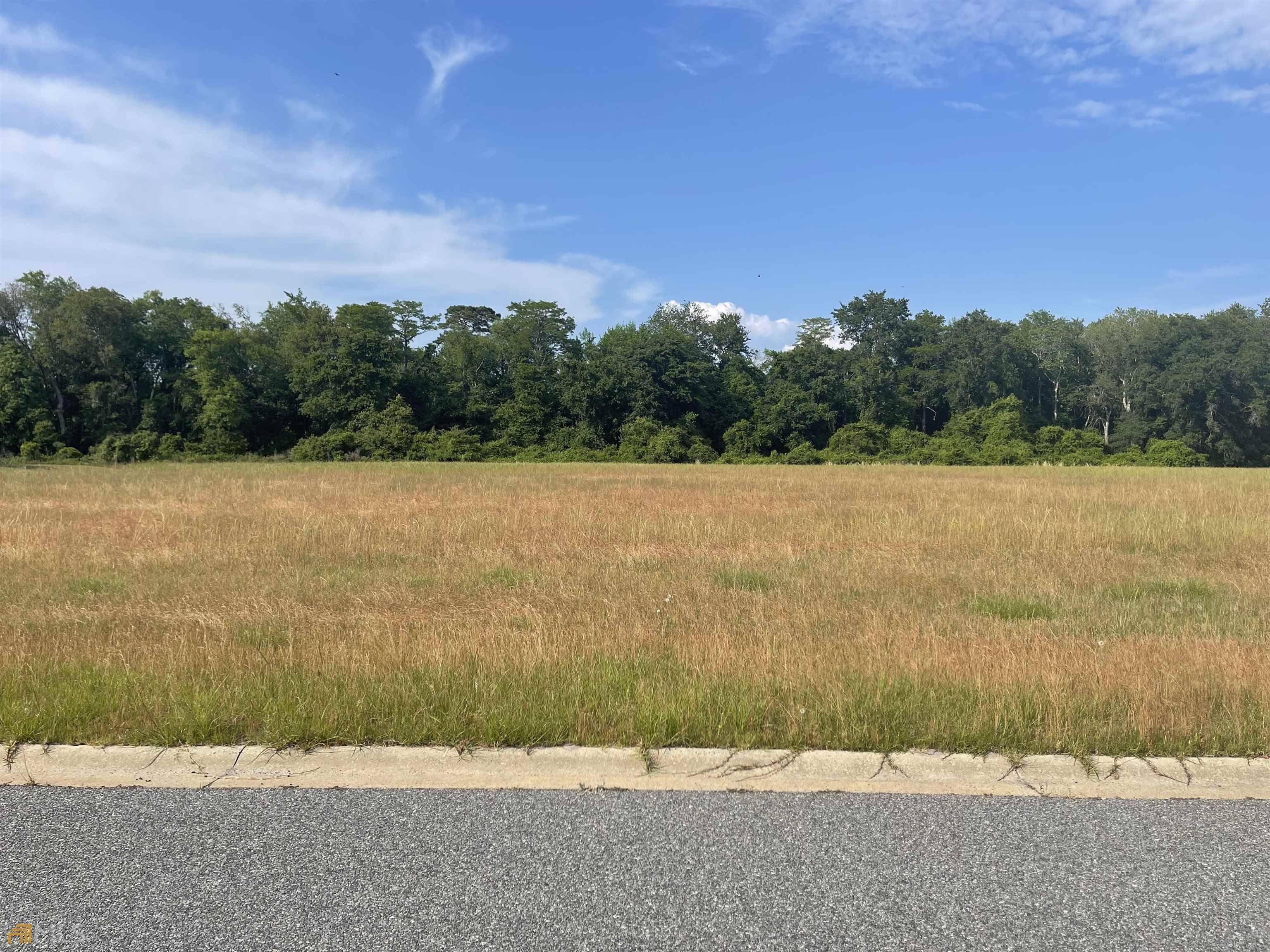 Jesup, GA 31546,LOT 5 Bermuda DR