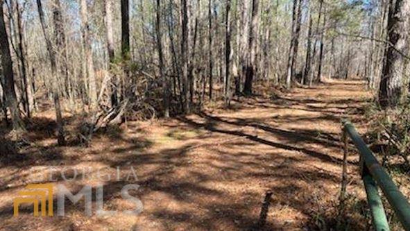 Good Hope, GA 30641,4380 Georgia Hwy 186 #LOT #3