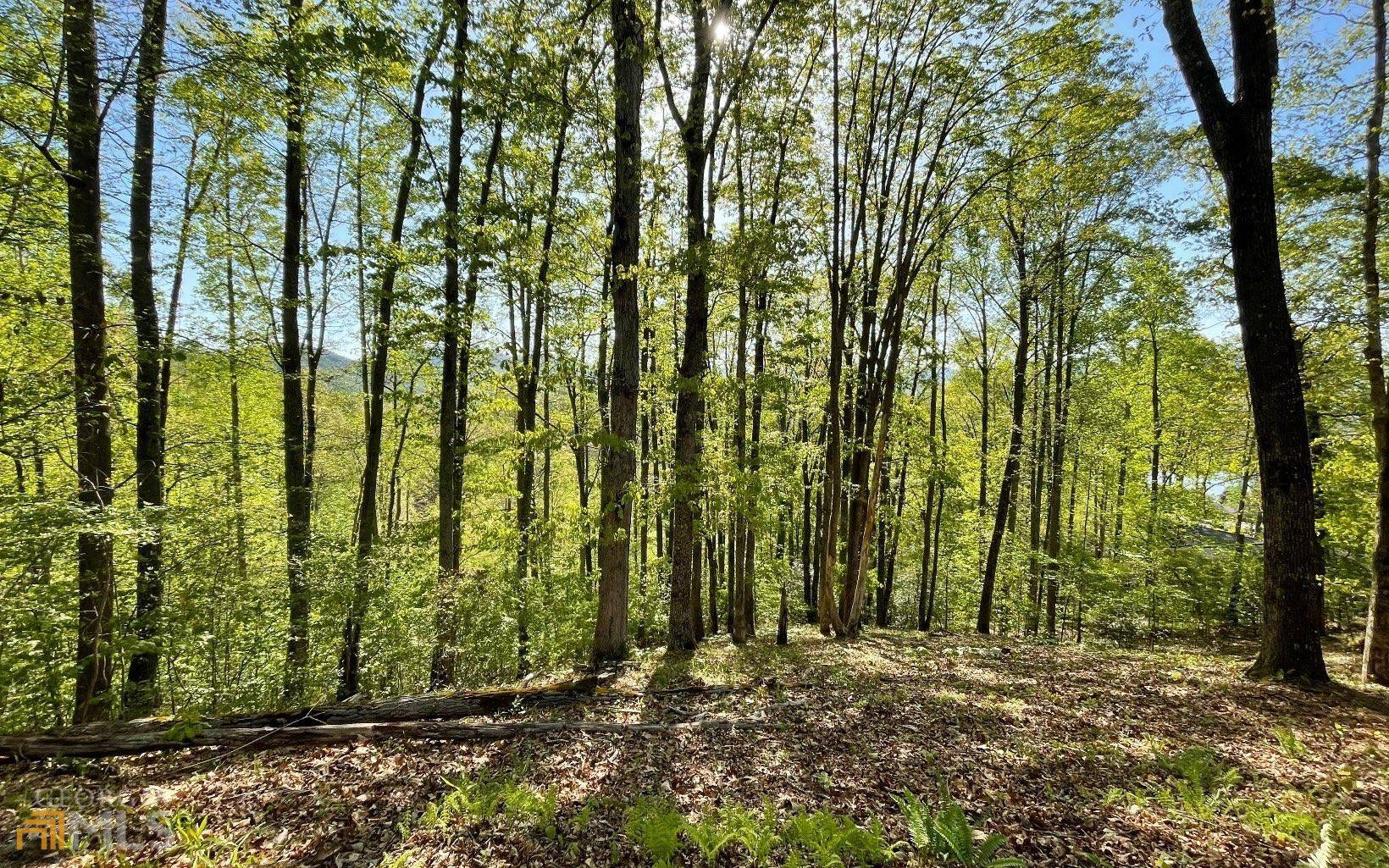 Hayesville, NC 28904,LOT 1C Lakewood Hills