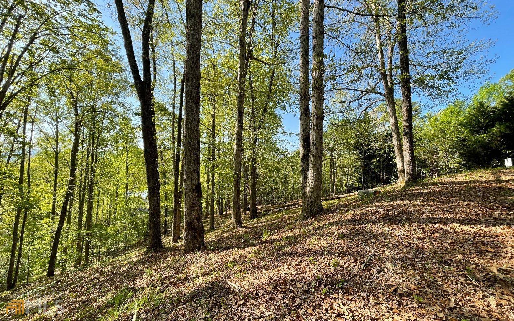 Hayesville, NC 28904,LOT 1C Lakewood Hills