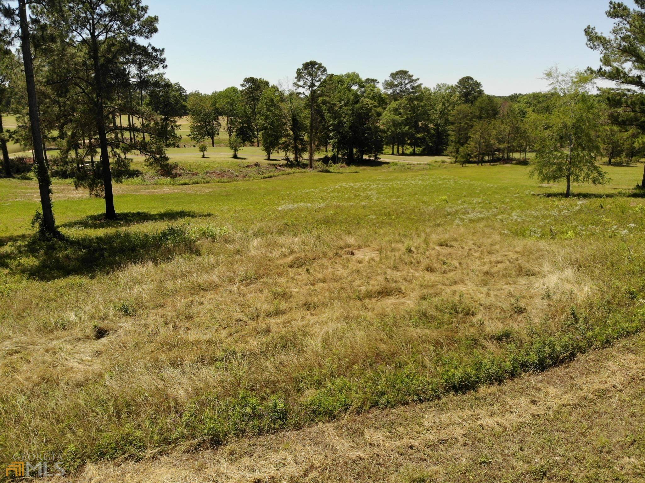 Hawkinsville, GA 31036,LOT 67 & 68 River Ridge DR