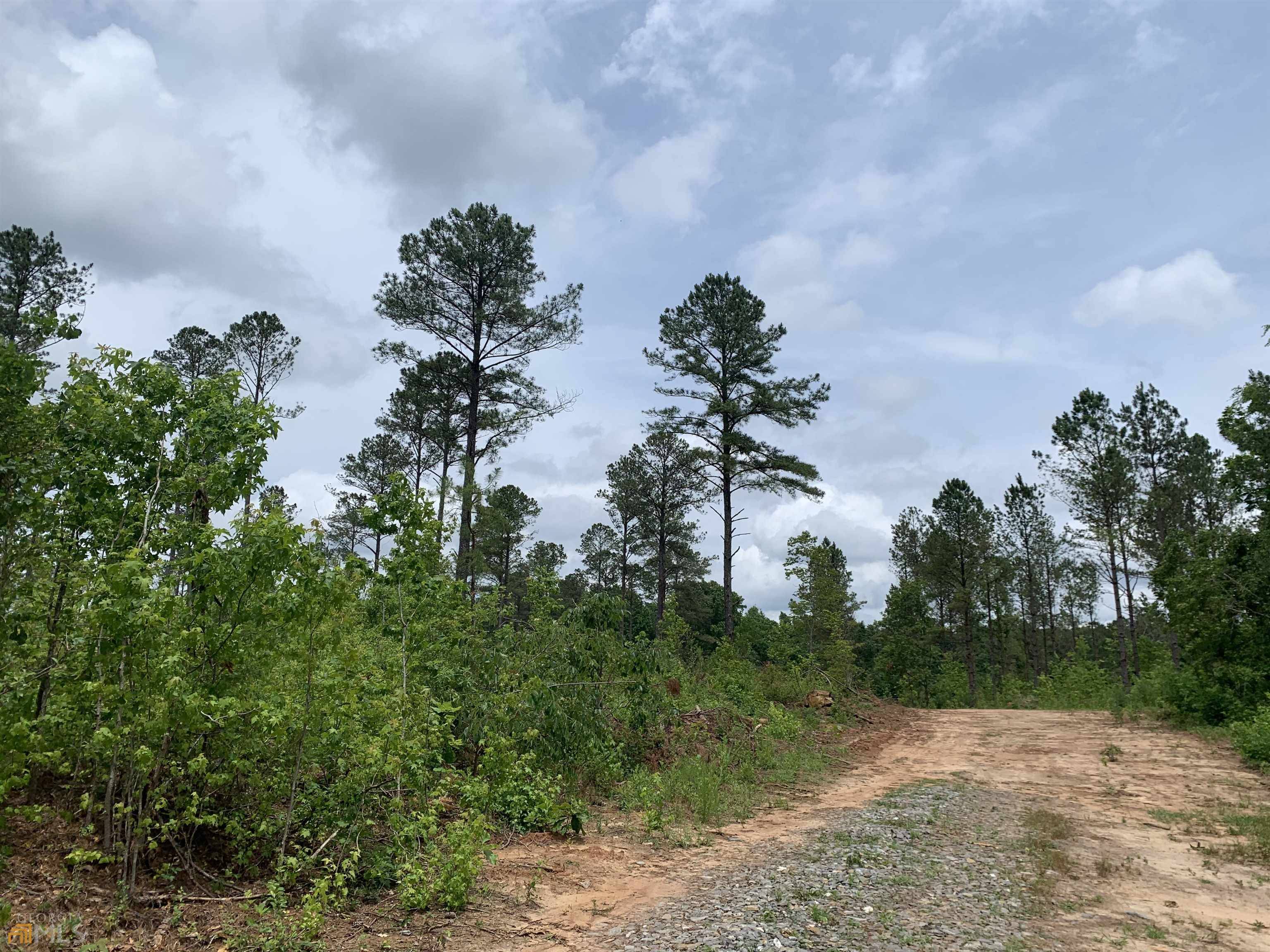 Pine Mountain, GA 31822,59.9522 AC Salem Chipley RD