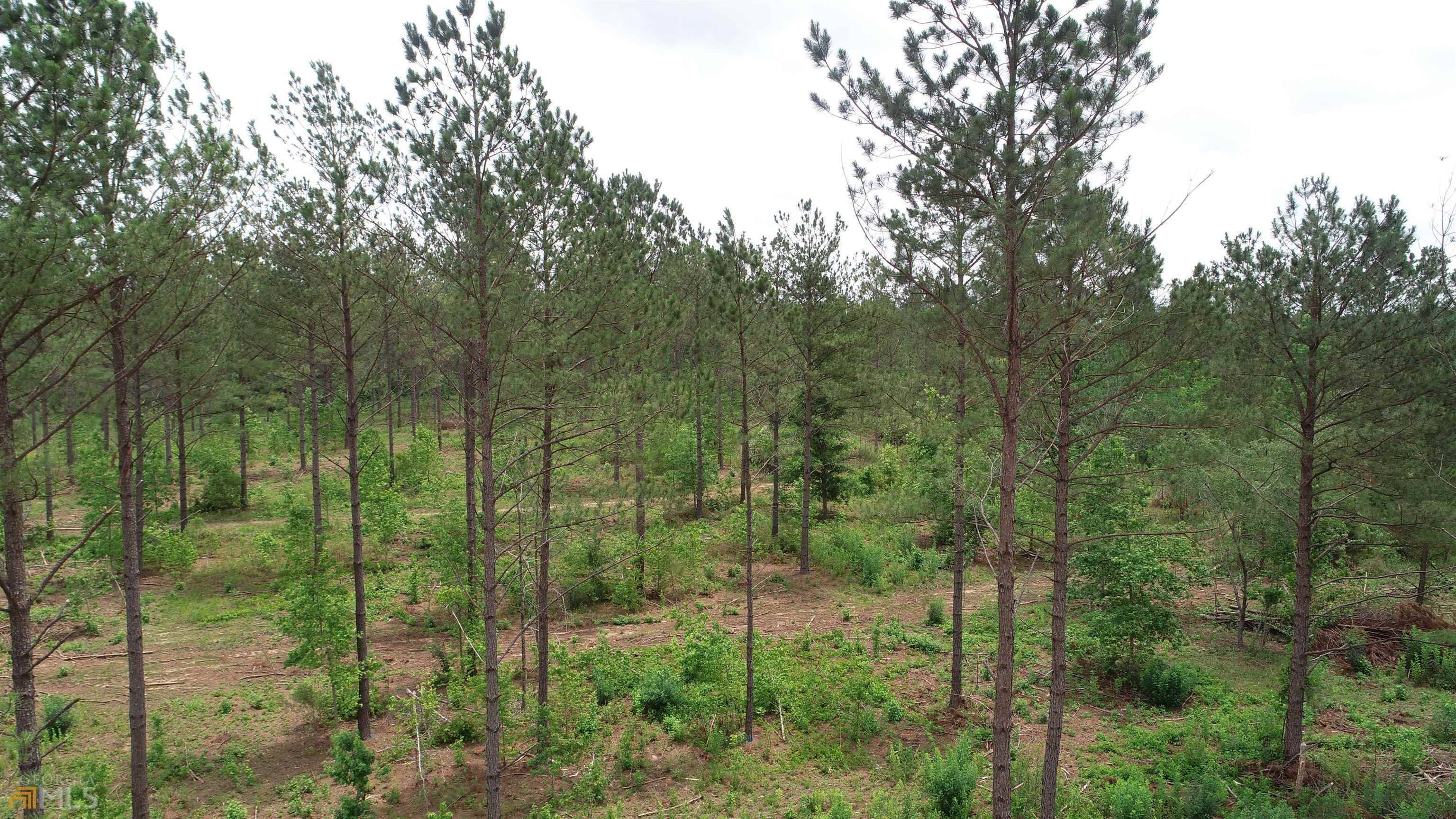 Pine Mountain, GA 31822,59.9522 AC Salem Chipley RD