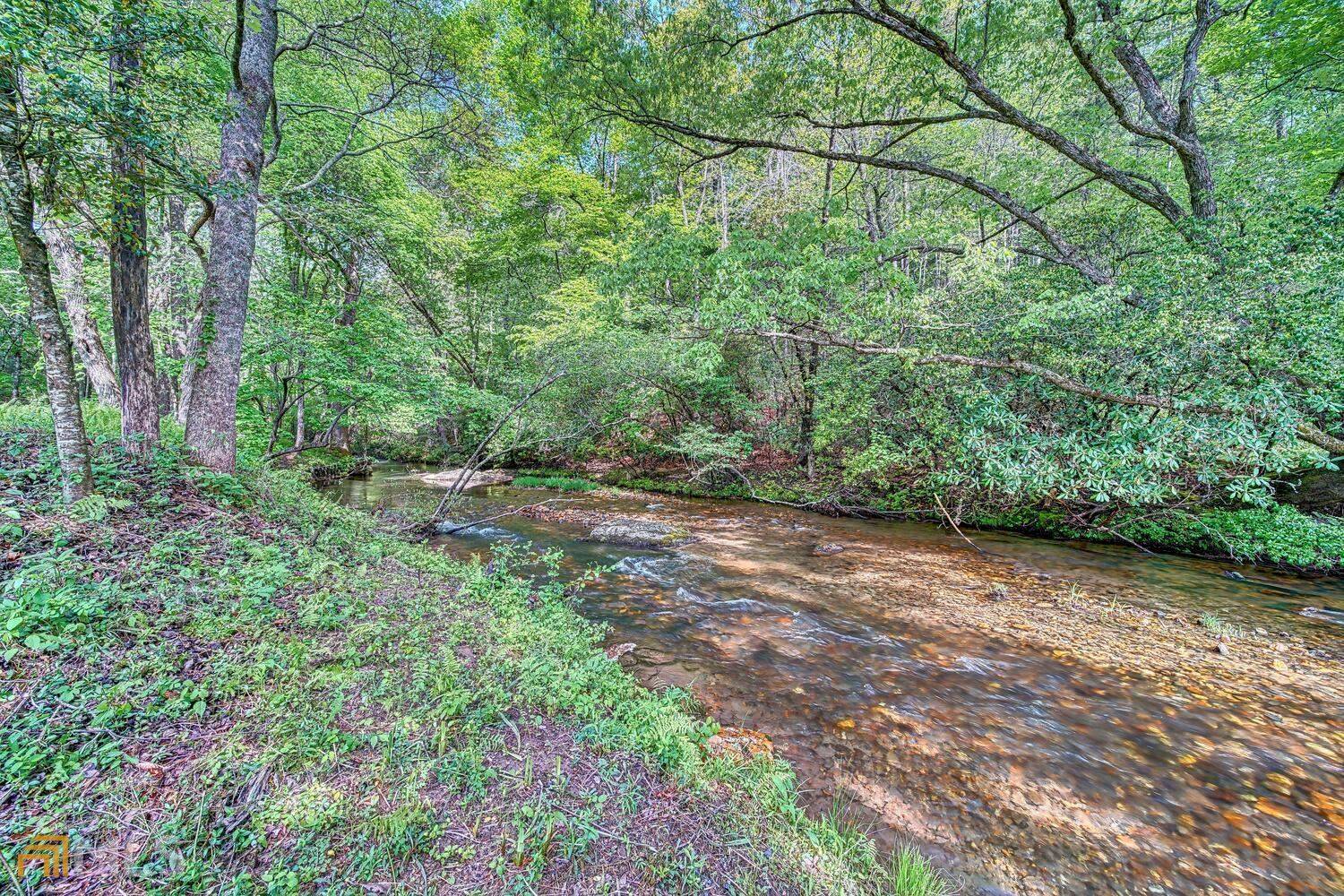 Blue Ridge, GA 30513,2628 Big Creek RD