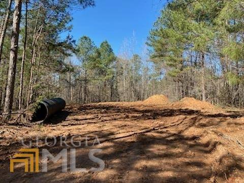 Good Hope, GA 30641,4360 Georgia Highway 186 #LOT #4