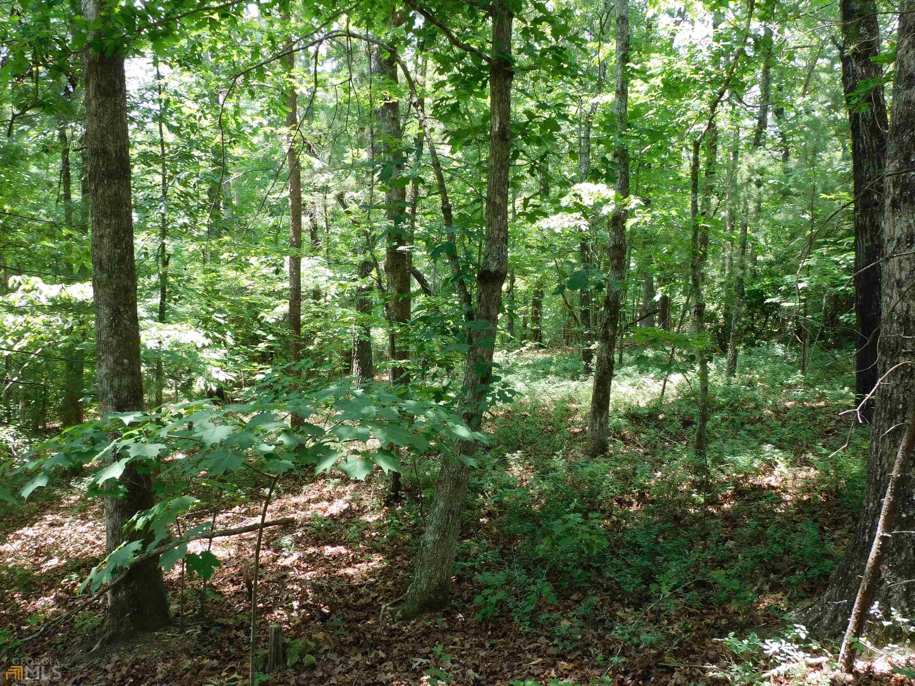 Sautee Nacoochee, GA 30571,LOT 17 Highland RD