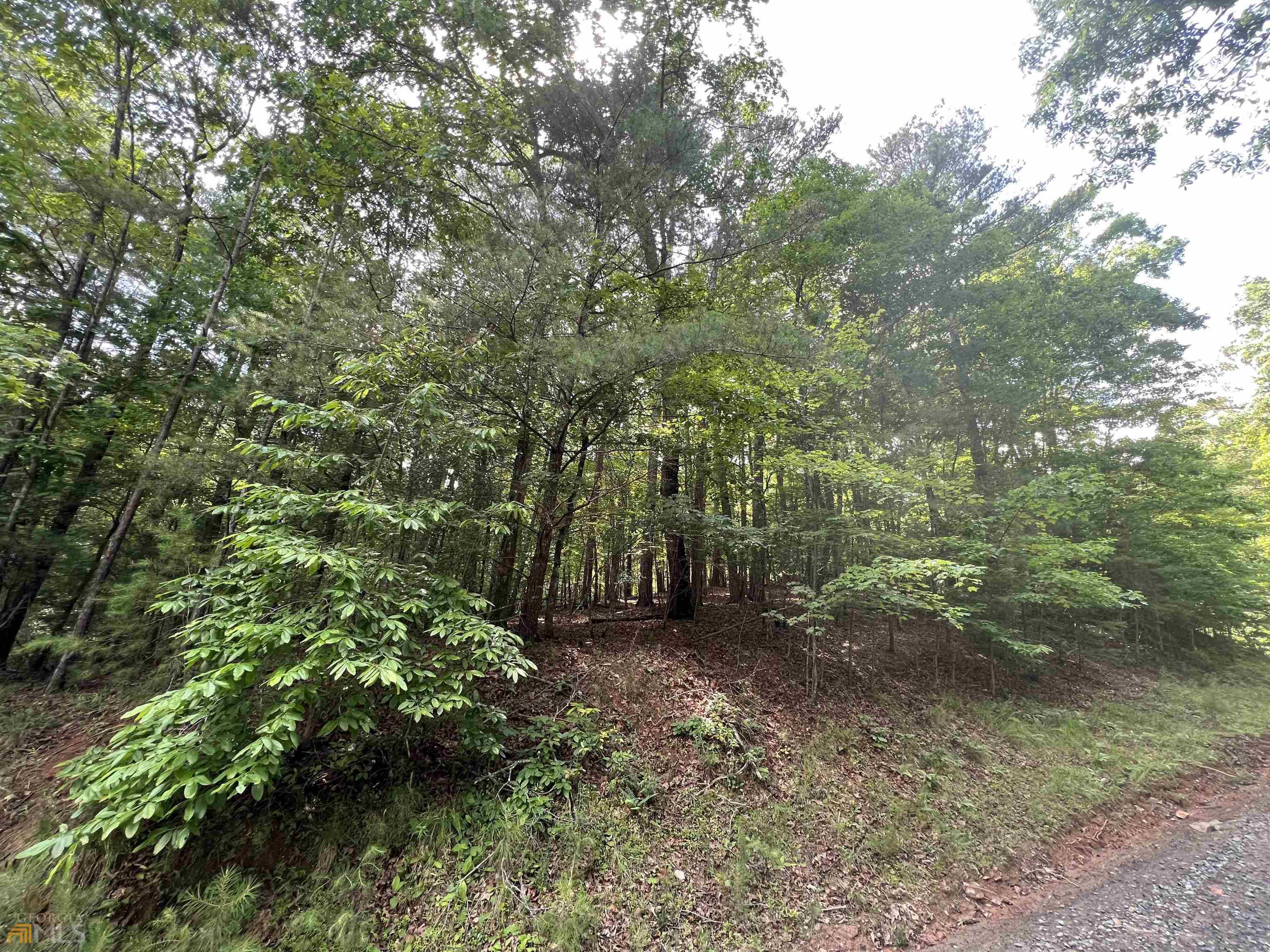 Ellijay, GA 30540,LT149 Alcan Way