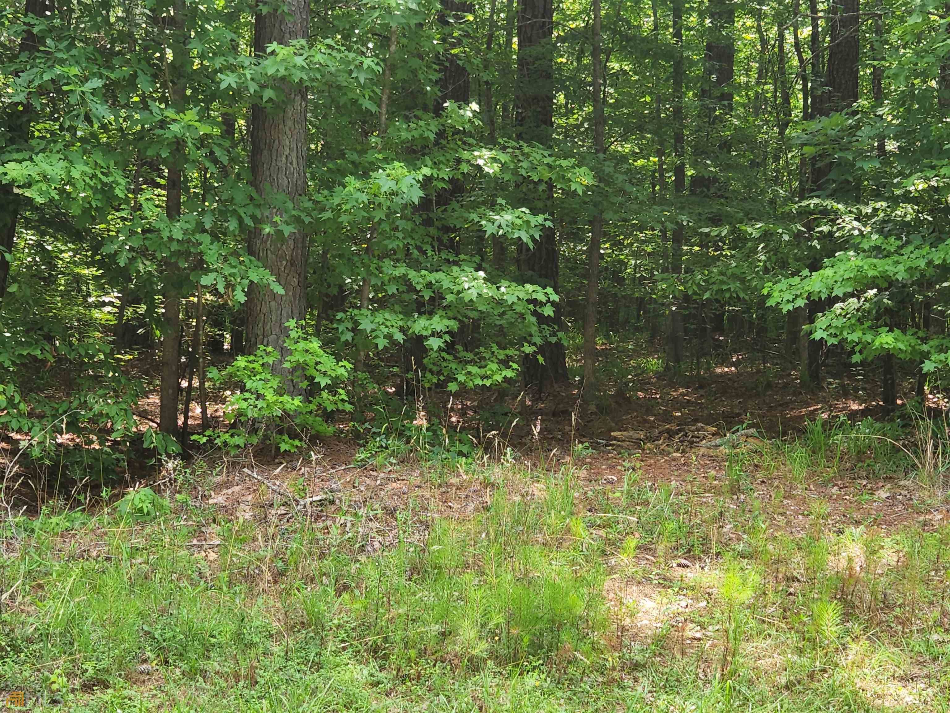 Eatonton, GA 31024,LOT #1 West Riverbend