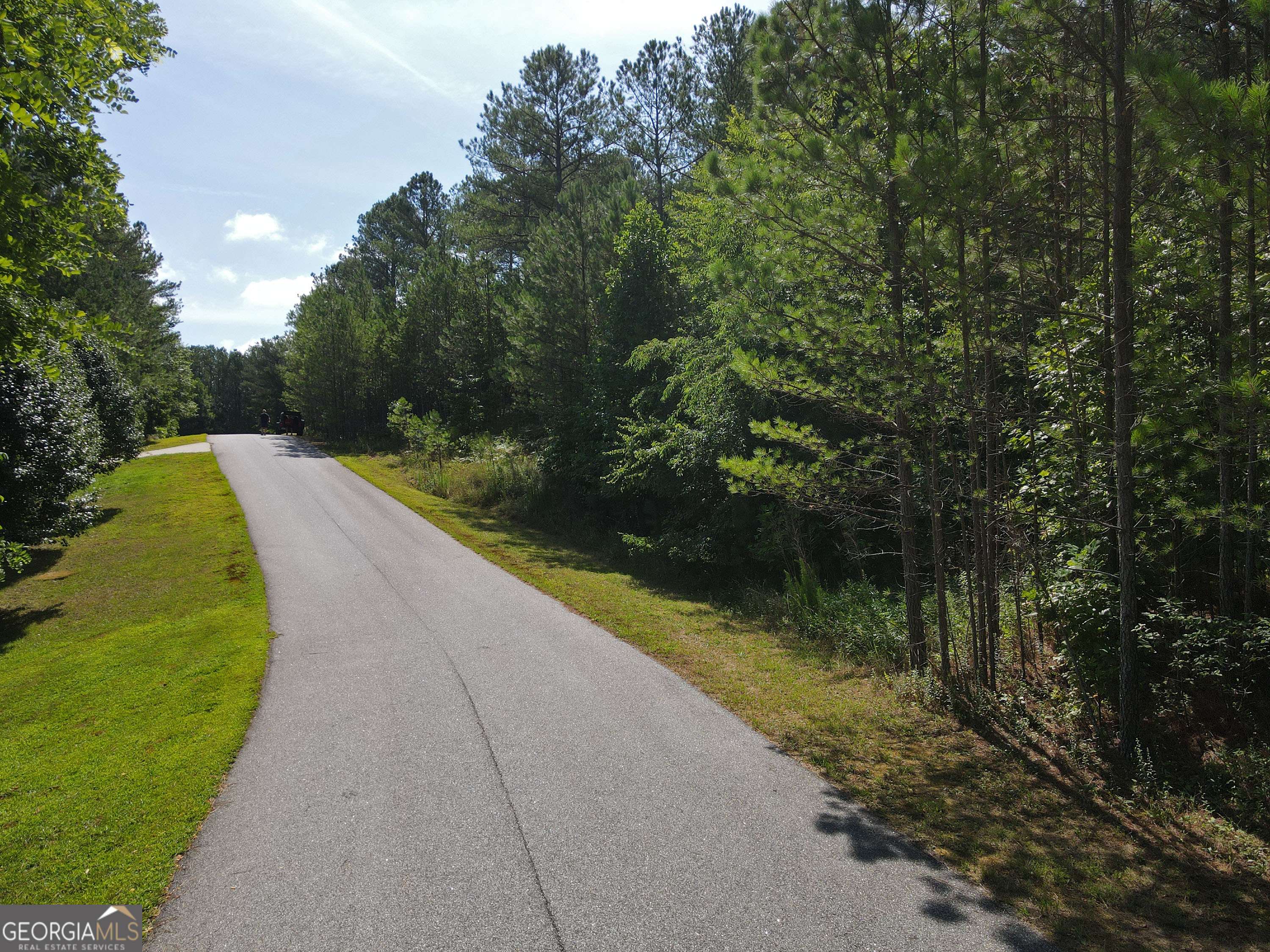 Blairsville, GA 30512,36 Loftis Mtn WAY #LOT 36