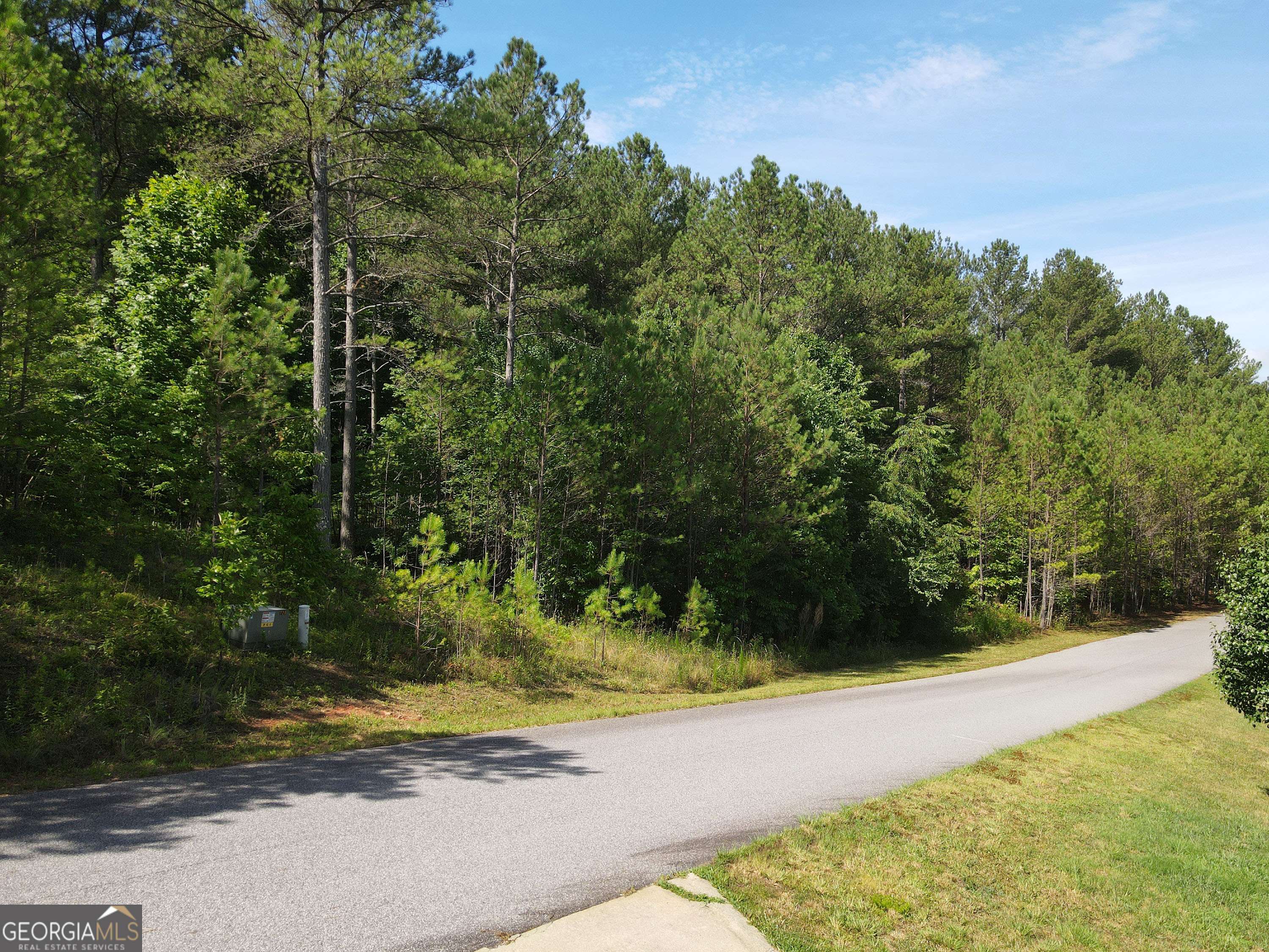 Blairsville, GA 30512,36 Loftis Mtn WAY #LOT 36