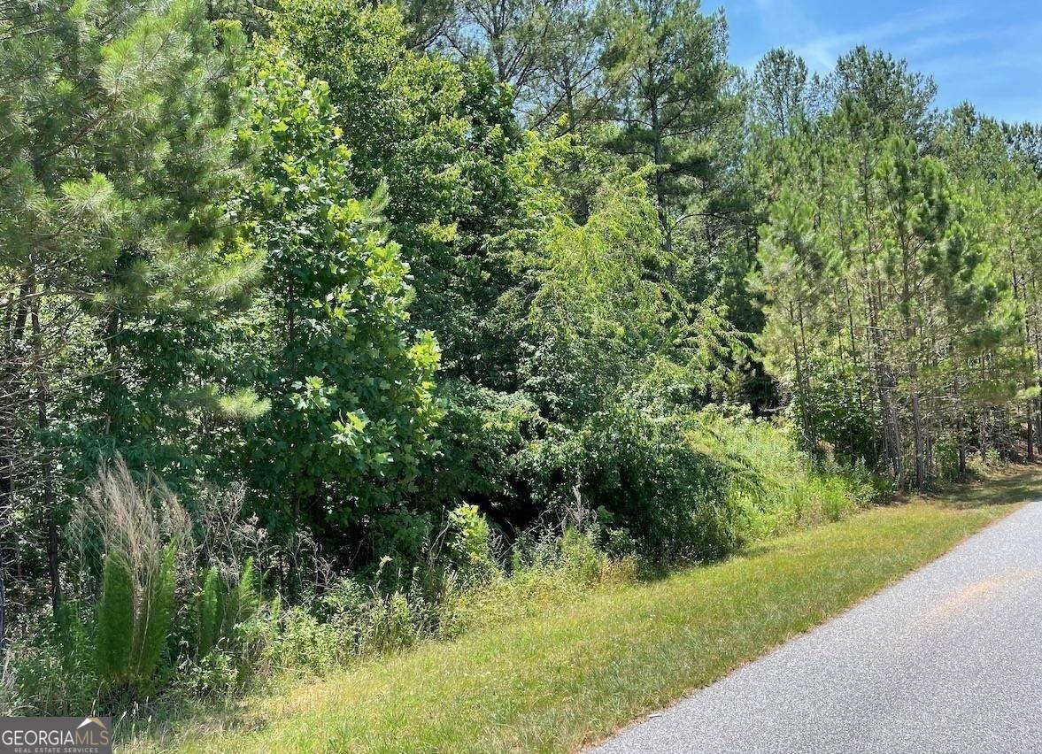 Blairsville, GA 30512,36 Loftis Mtn WAY #LOT 36