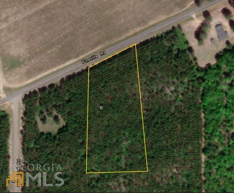 Buena Vista, GA 31803,0 PINEVILLE Rd Tract B