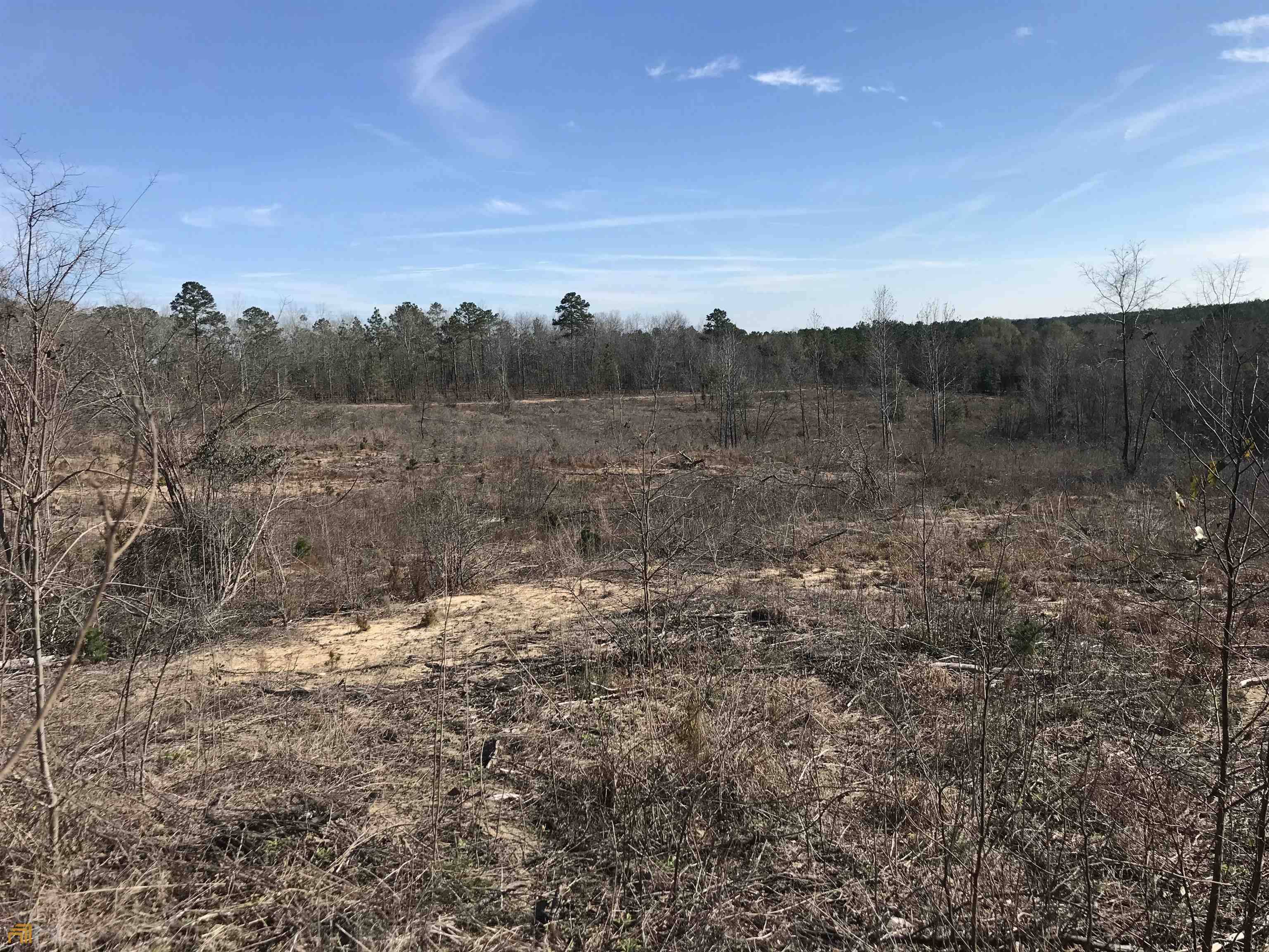 Buena Vista, GA 31803,0 PINEVILLE Rd Tract B