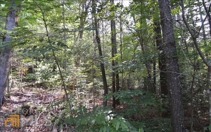 Hiawassee, GA 30546,LOT 6 Baker LN