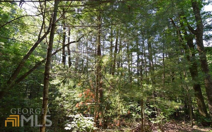 Hiawassee, GA 30546,LOT 6 Baker LN