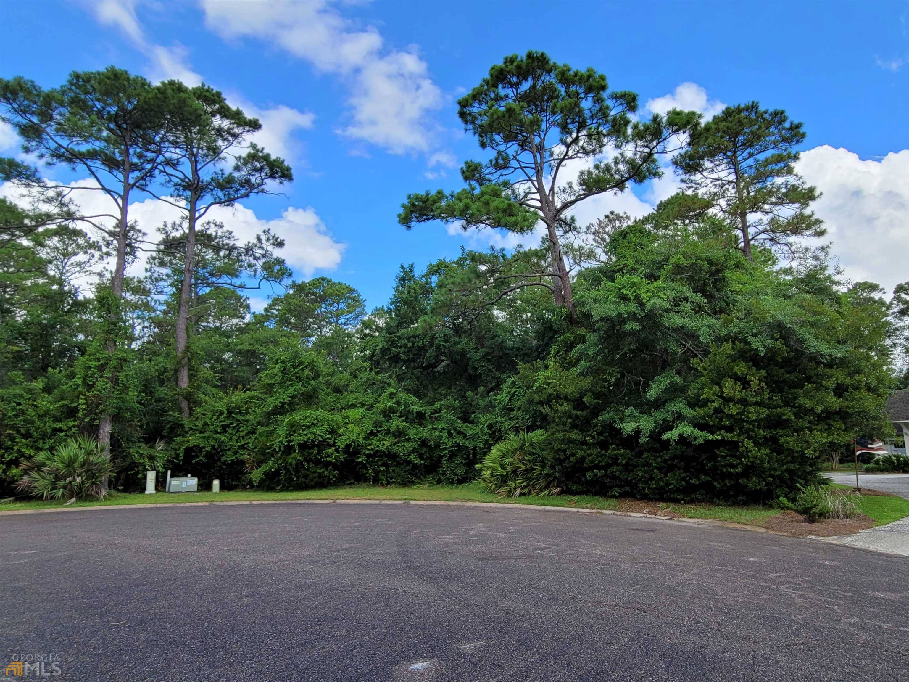 St. Marys, GA 31558,0 Overlook Lane Lot 380