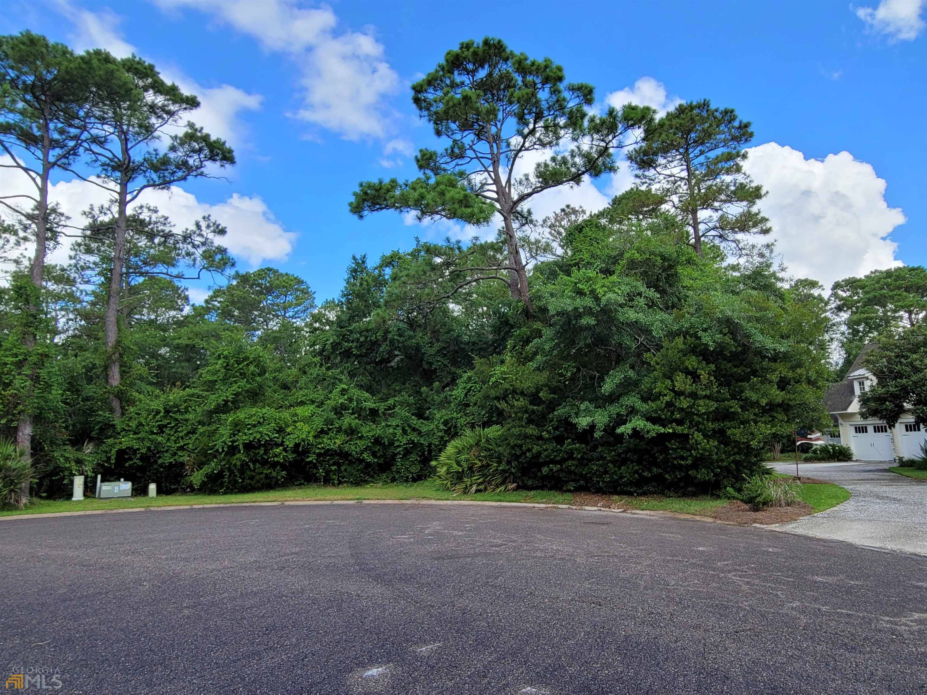 St. Marys, GA 31558,0 Overlook Lane Lot 380