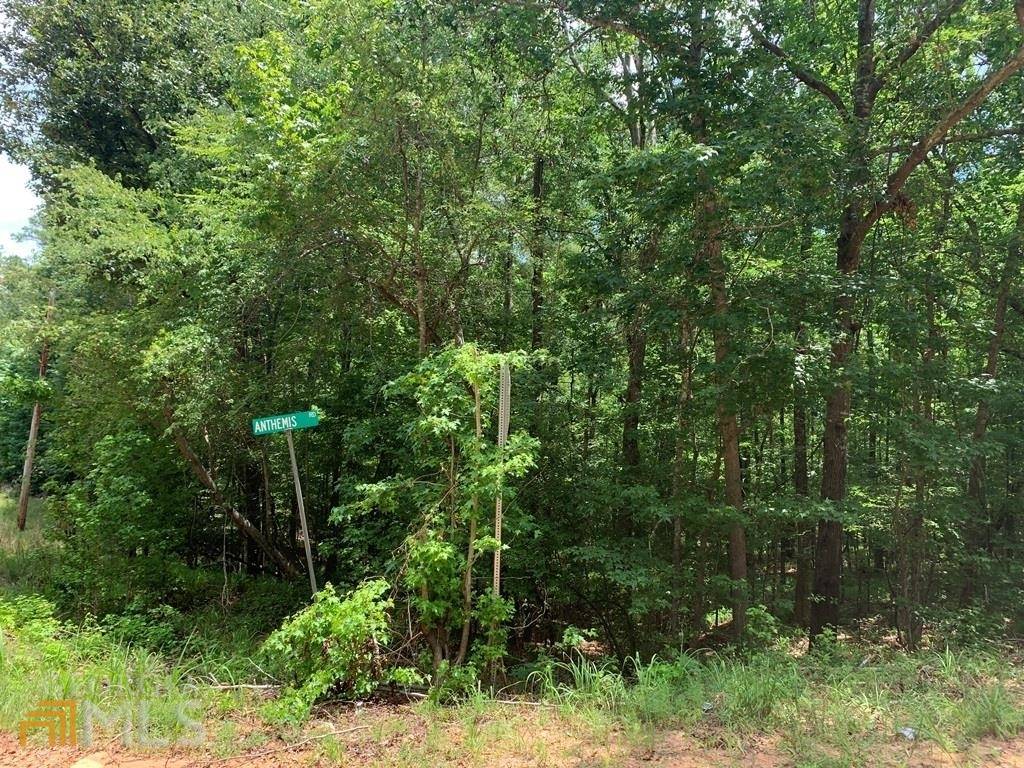 Sparta, GA 31087,LOT 117 Old Ferry Rd