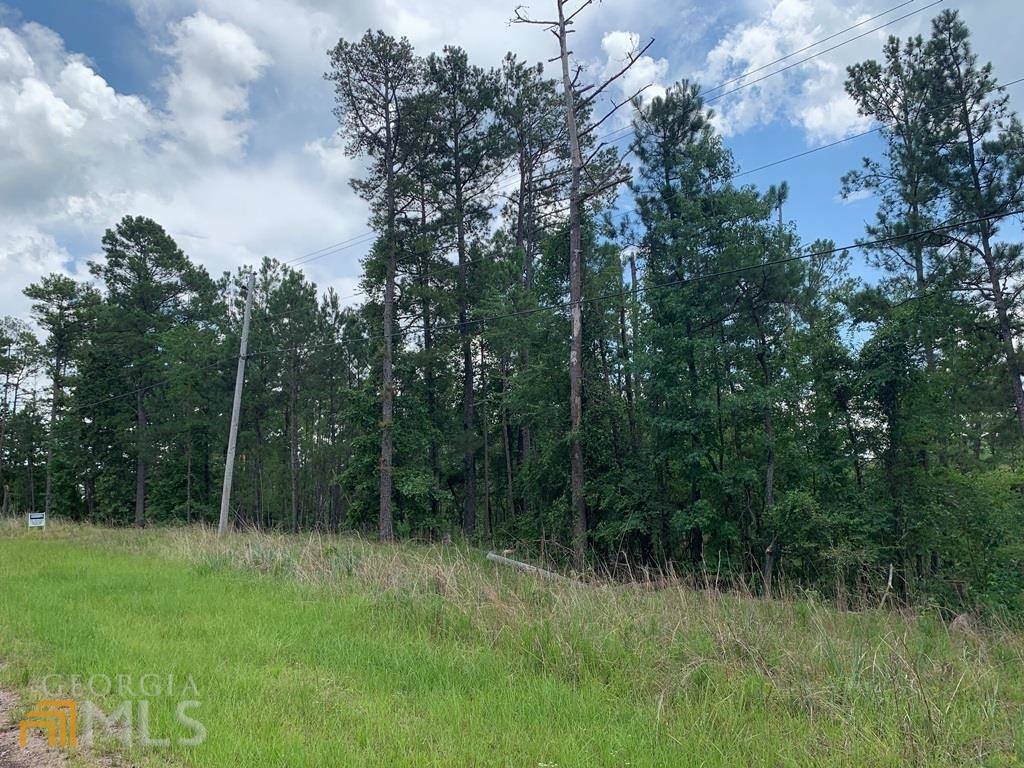 Sparta, GA 31087,LOT 104 Old Ferry Rd