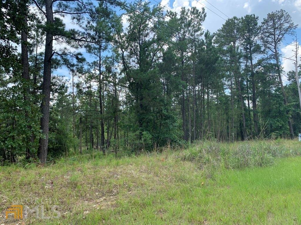 Sparta, GA 31087,LOT 104 Old Ferry Rd