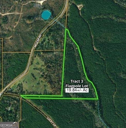 Bowdon, GA 30108,0 TRACT 3 Lucky LN