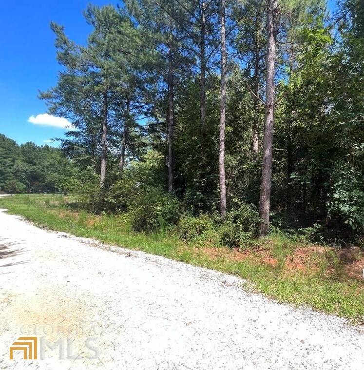 Commerce, GA 30529,0 Horseshoe Trl., Lot 3b