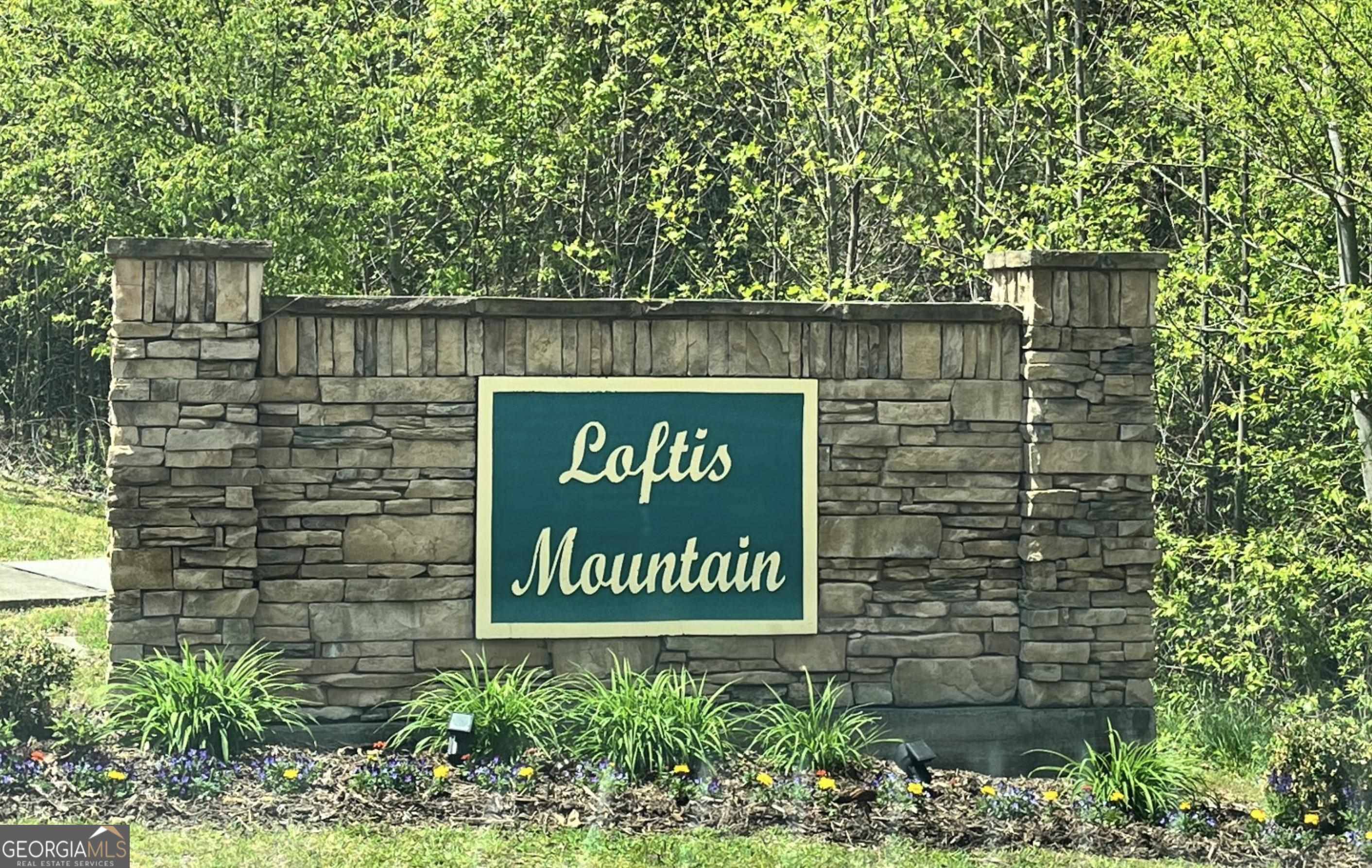 Blairsville, GA 30512,29 & 30 Loftis Mtn