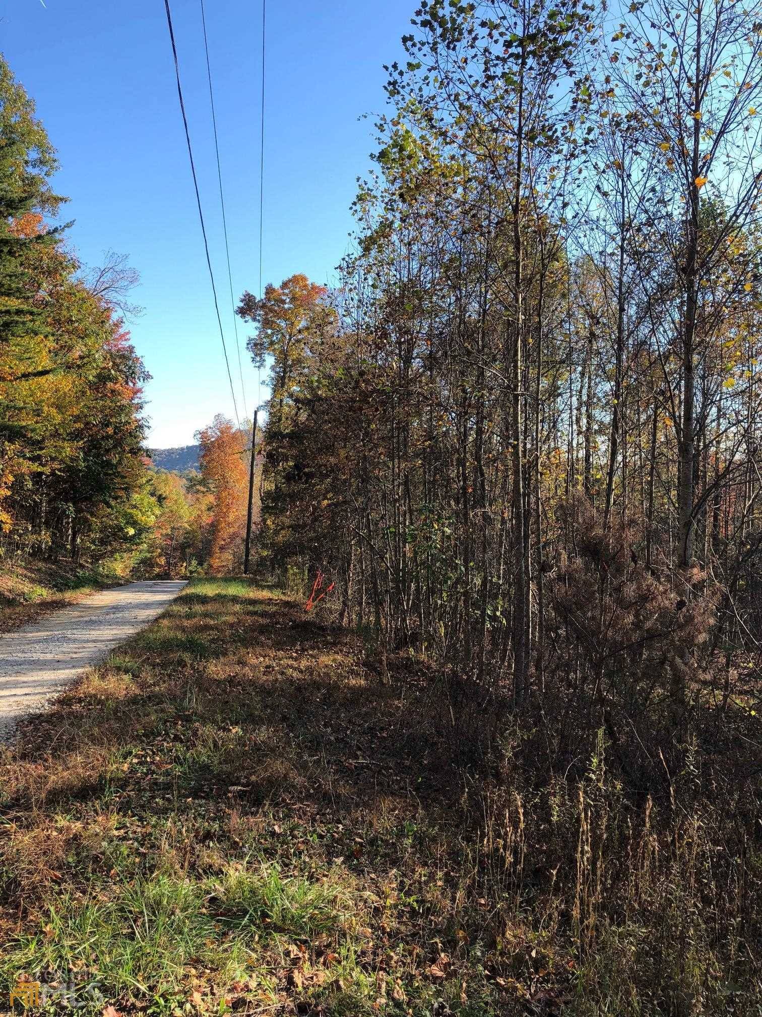 Clayton, GA 30525,0 Us 441 And Leafwood LN #LOT 4