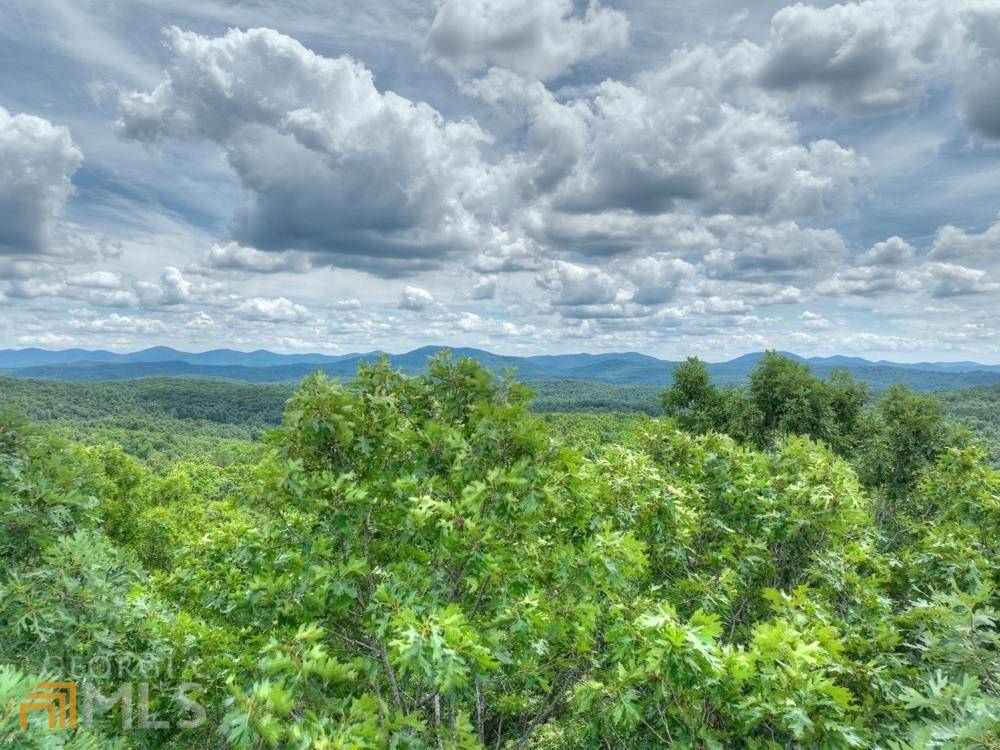 Morganton, GA 30560,16 AC Trail Tree RDG