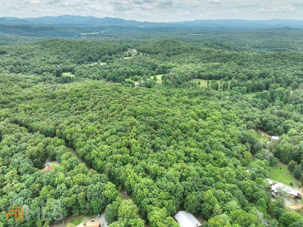 Morganton, GA 30560,16 AC Trail Tree RDG