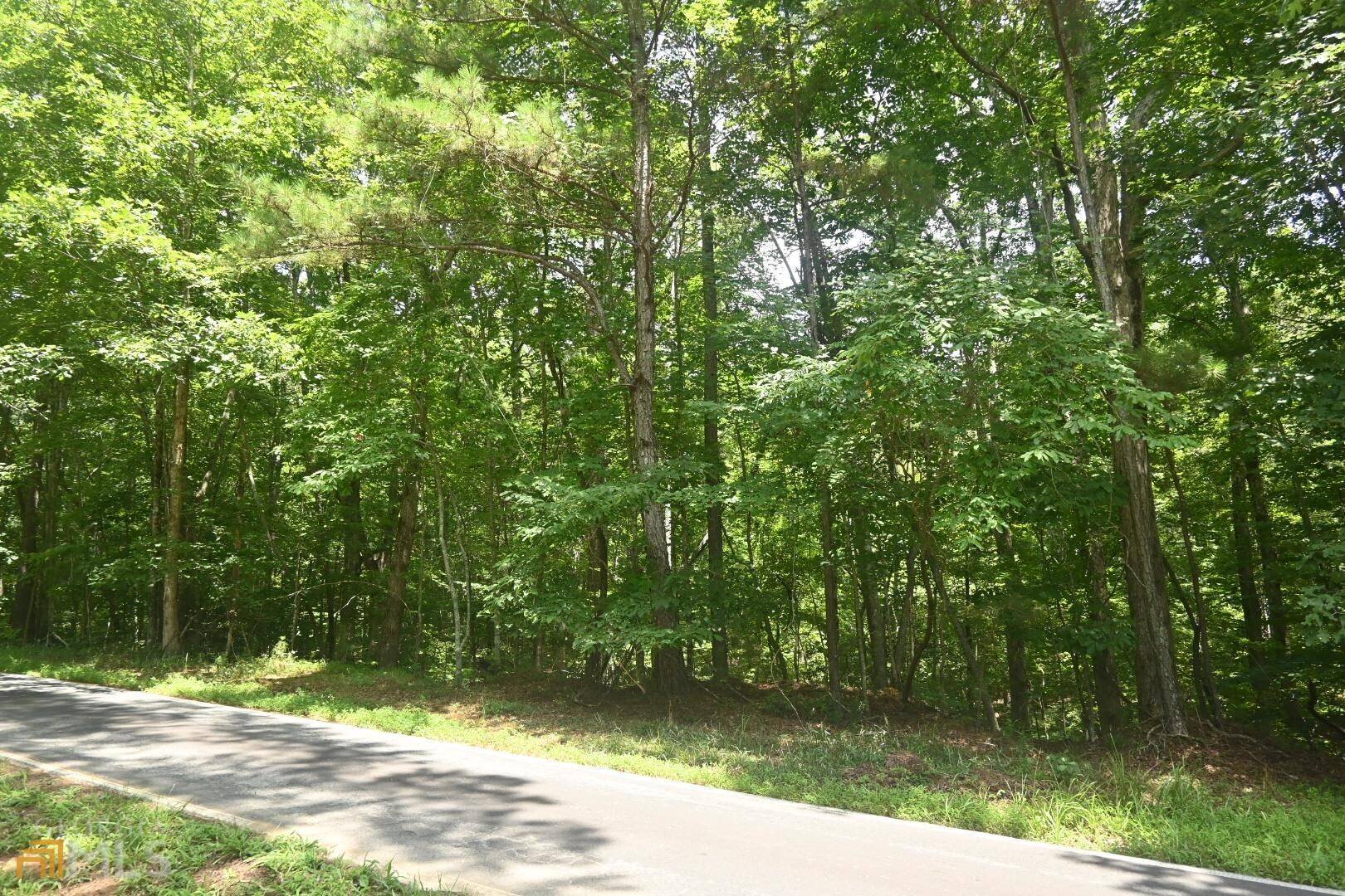 Ellijay, GA 30540,0 Eagle Mountain DR