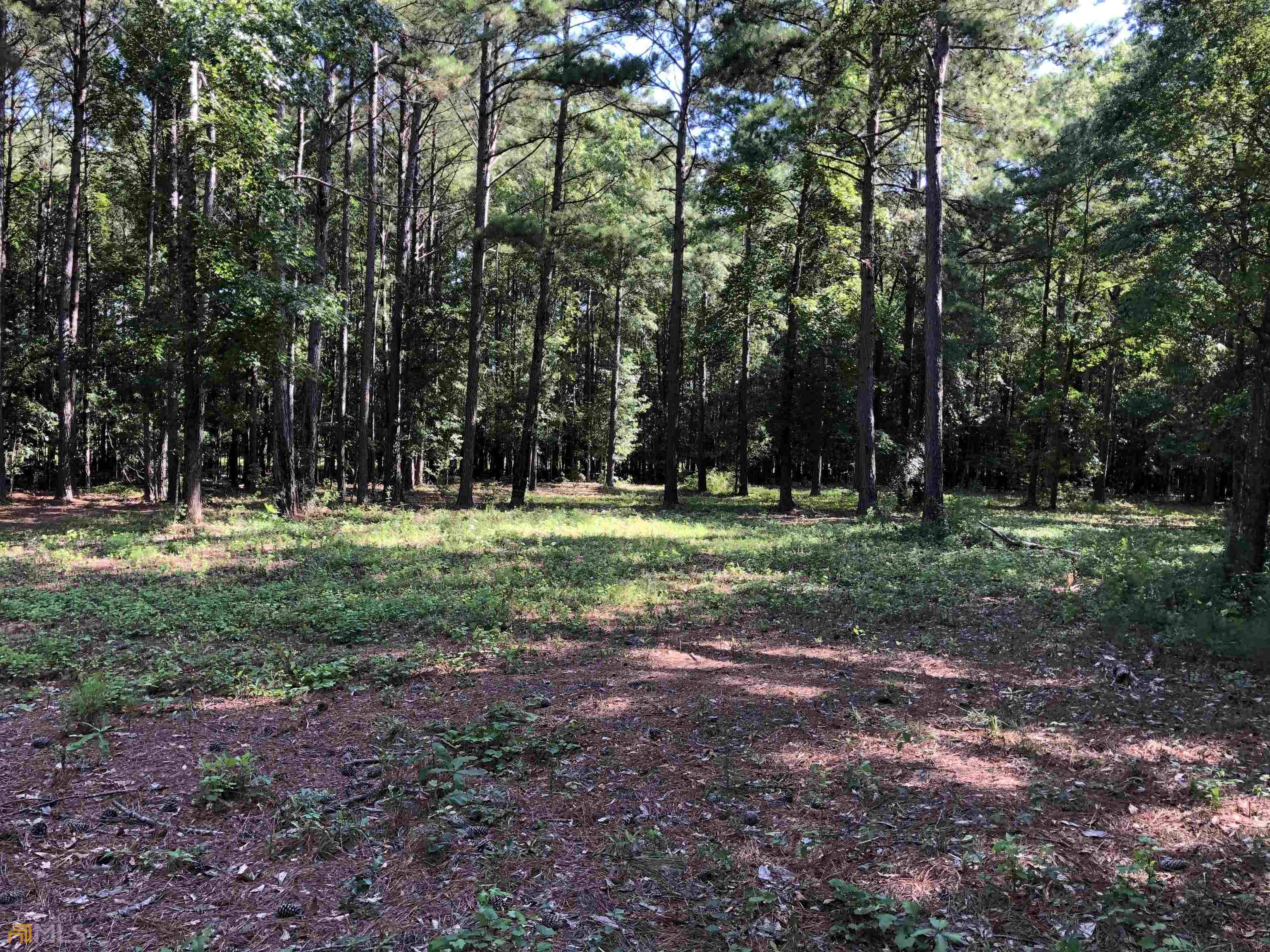 Pine Mountain, GA 31822,14.79 AC Old Chipley RD