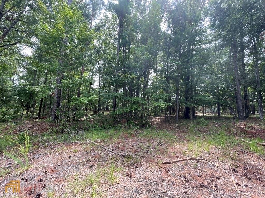 Sparta, GA 31087,LOT 245 Sunflower CT