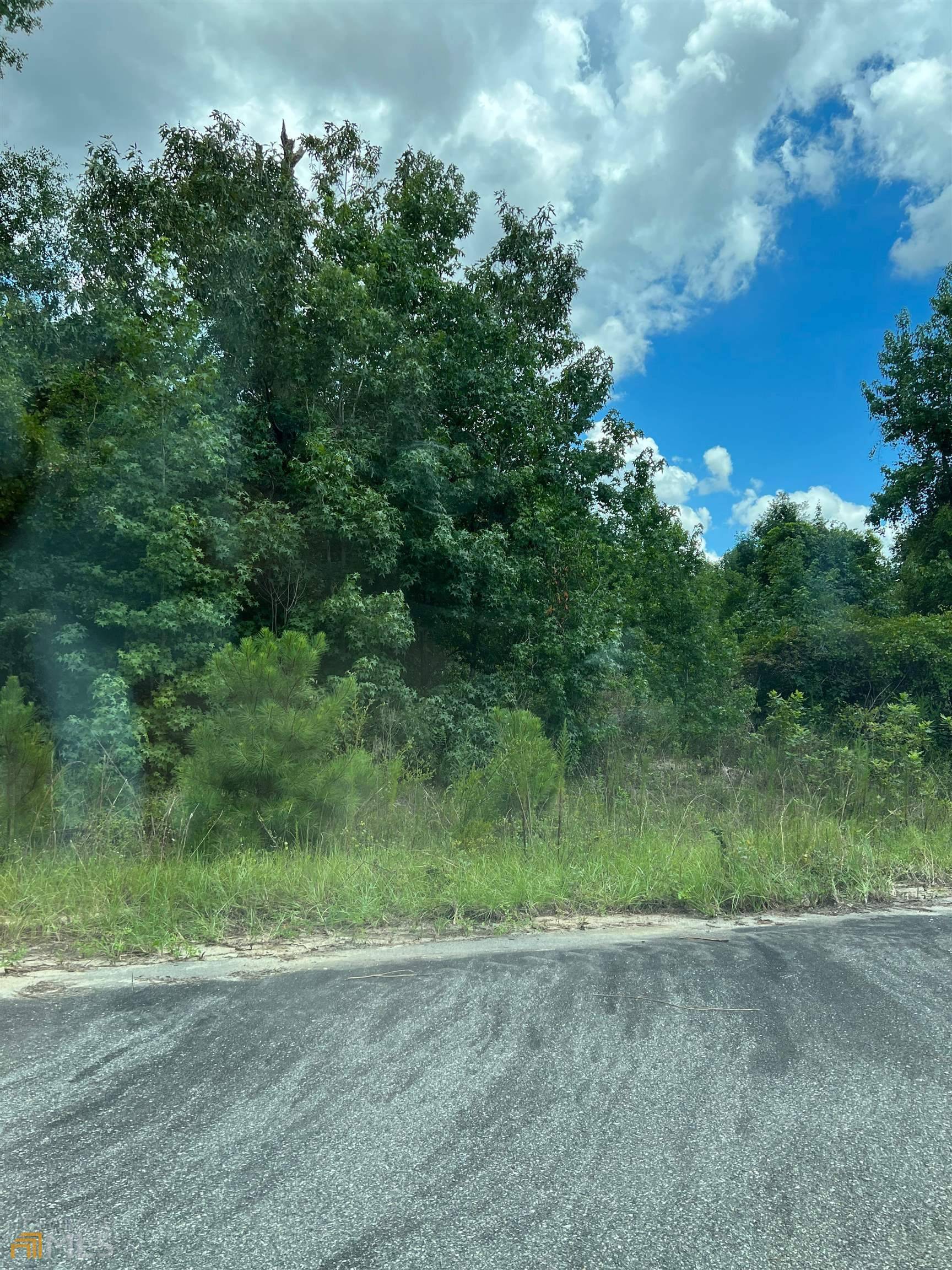 Hawkinsville, GA 31036,LOT 6 Flamingo Estates