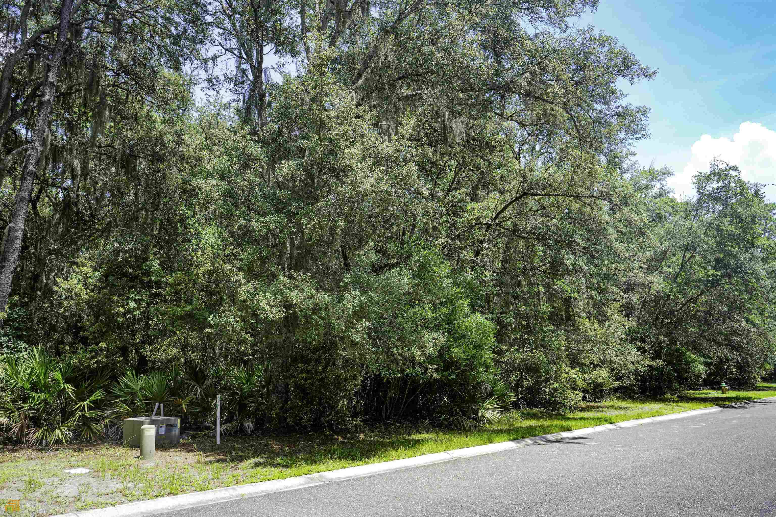 St. Marys, GA 31558,0 Overhand CT #V/L 425