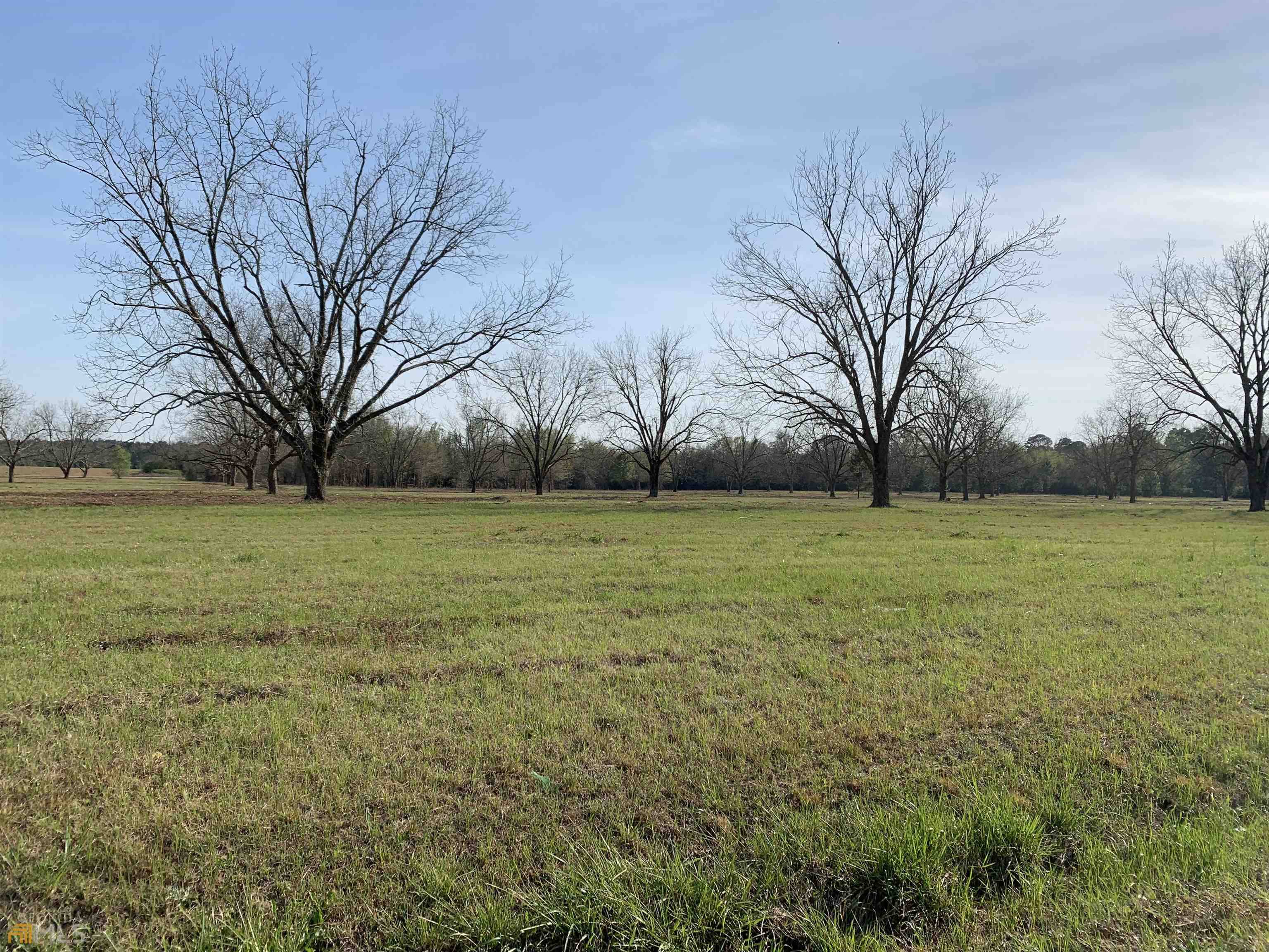 Hawkinsville, GA 31036,LOT 7 Fechtman RD