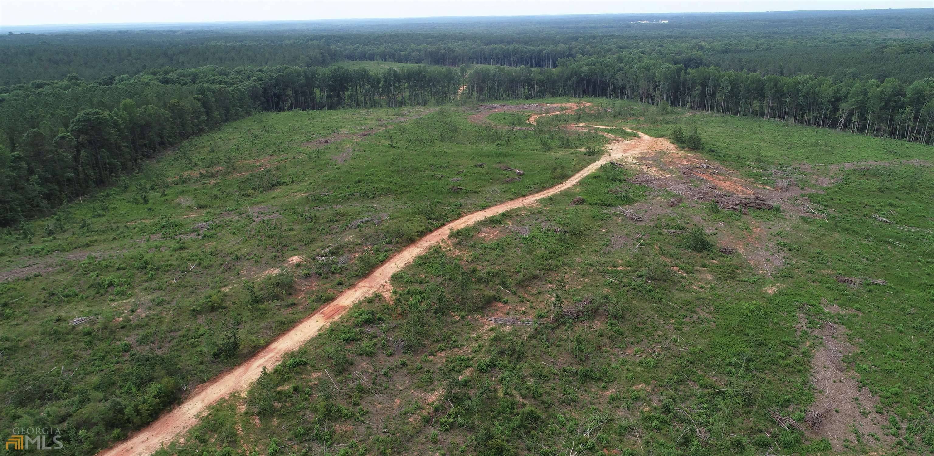 Pine Mountain, GA 31822,162.38 AC Trammel RD