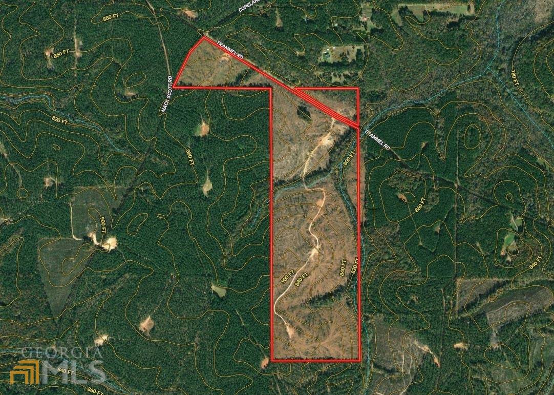 Pine Mountain, GA 31822,162.38 AC Trammel RD