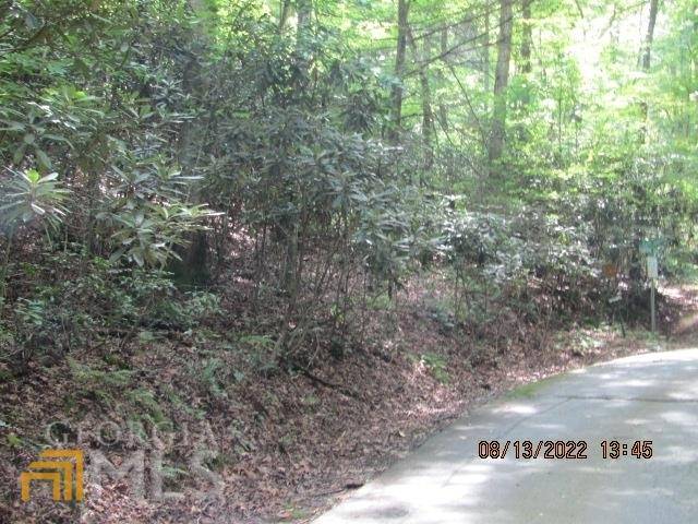 Murphy, NC 28906,LOT 4 White Oak DR