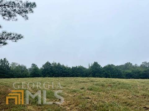 Watkinsville, GA 30677,0 Oliver Bridge RD #TRACT 3