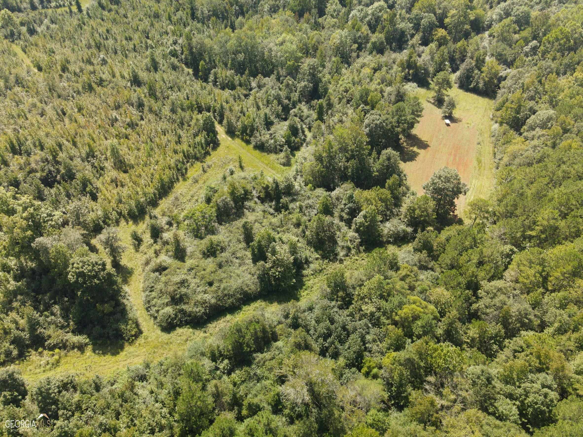 Lagrange, GA 30240,35 AC - TRACT 1 Whitesville RD