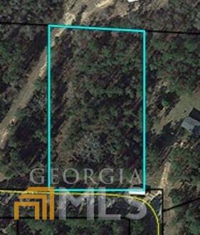 Oglethorpe, GA 31068,LOT 13 Hawkeye CT