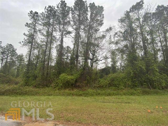 Oglethorpe, GA 31068,LOT 13 Hawkeye CT