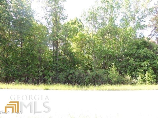 Knoxville, GA 31050,1.54 ACRE Causey RD