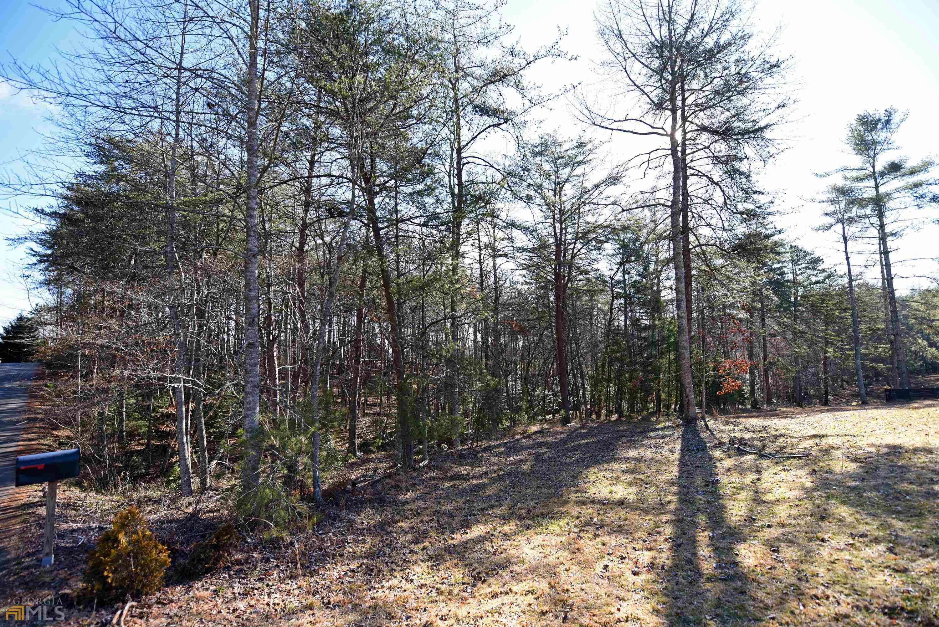 Blairsville, GA 30512,LOT 17 Whistle Pig PL