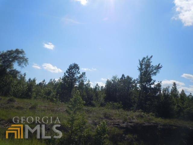 Wrightsville, GA 31096,0 J D Garnto RD