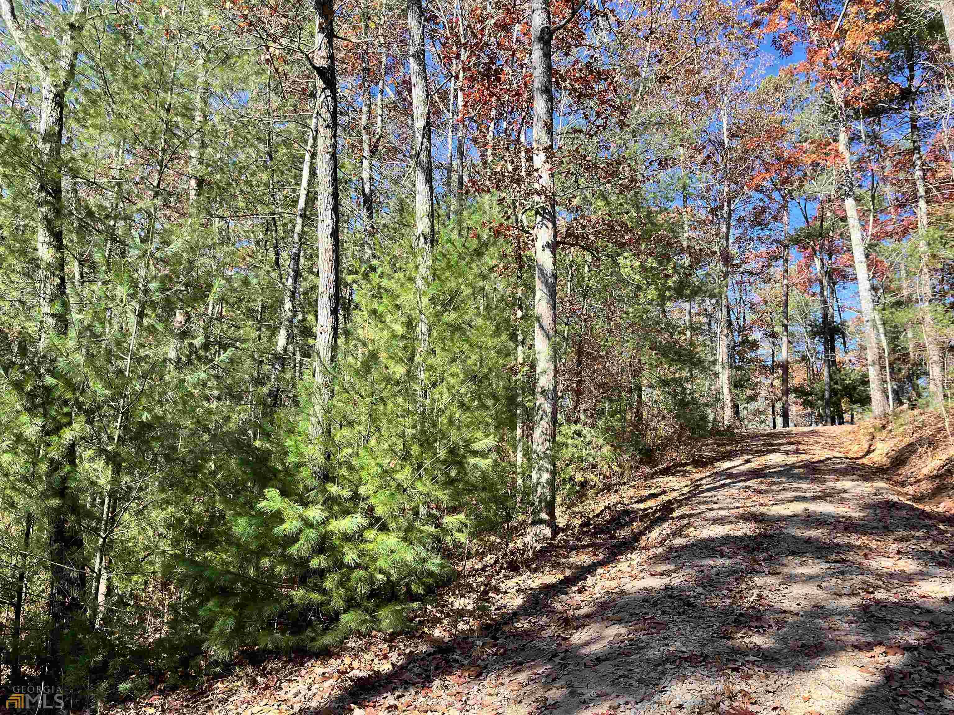 Blue Ridge, GA 30513,1.95 AC Adelaide TRL