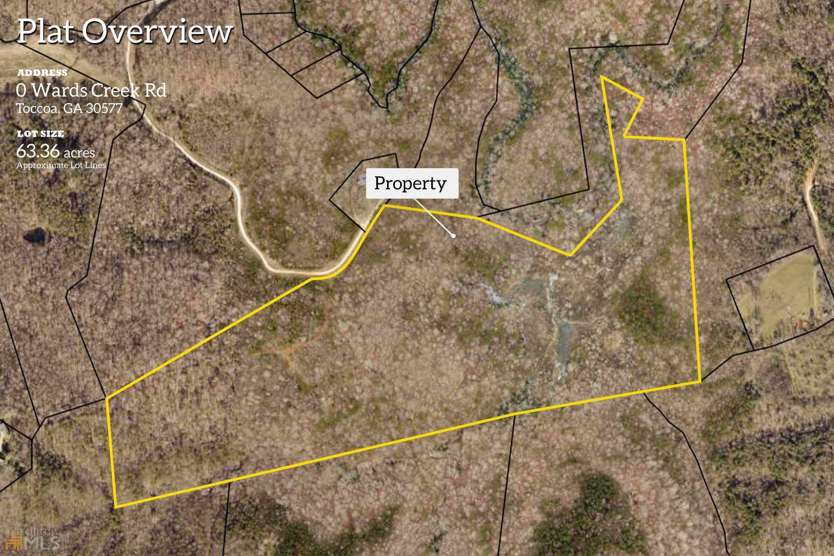 Toccoa, GA 30577,63.36 ACRES Wards Creek RD