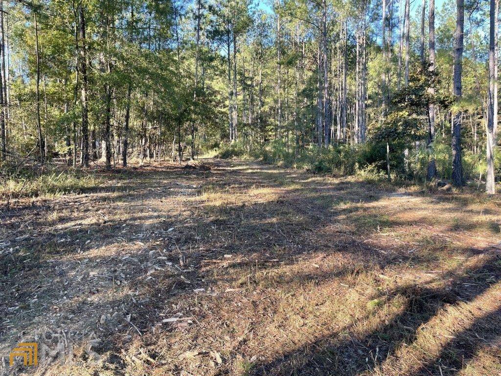 Rome, GA 30161,0 Bailey Tract 5 RD #5